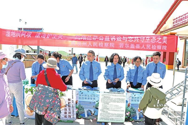 鹤翔兰萨”公益诉讼团队：高原湿地的检察守护与生态担当 